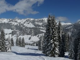 23.03.2008 Balderschwang